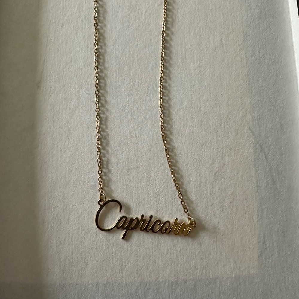 Gold Capricorn Delicate Dainty Necklace